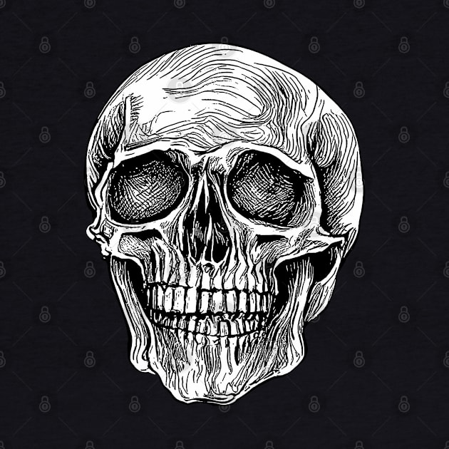 Skull Pen Drawing by DeathAnarchy